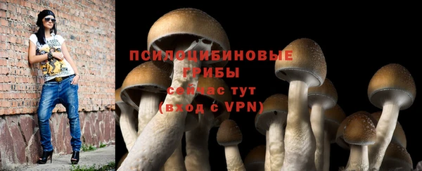 прущая мука Надым