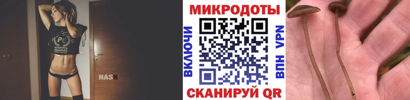 Псилоцибиновые грибы Psilocybine cubensis  kraken зеркало  Сызрань 